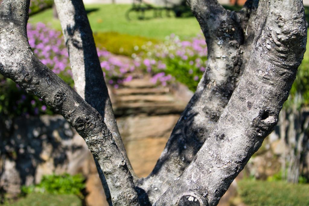 Quinta Da Eira Do Sol Villa Guimaraes Luaran gambar